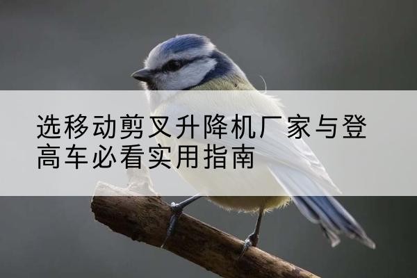 云县电动升降机厂家-选移动剪叉升降机厂家与登高车必看实用指南
