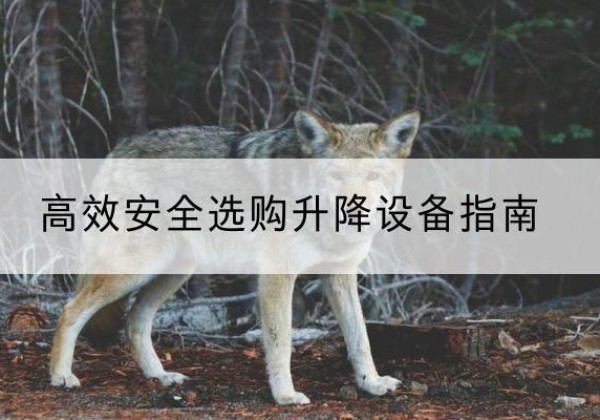 云县升降货梯厂家推荐-*安全选购升降设备指南